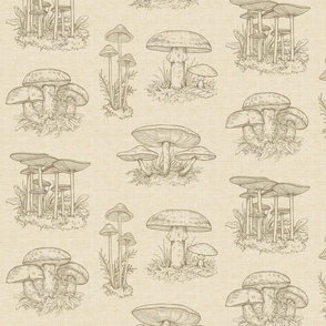 Larger Mushroom Line Drawings
