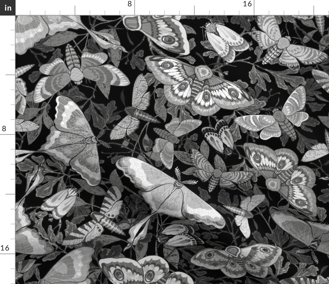Butterflies and Moths in dark monochromic palette, larger scale