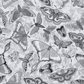 Butterflies and Moths in light monochromatic, larger scale