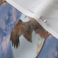 5x4-Inch Repeat of Trompe-l’Oeil Eagle Flying Free