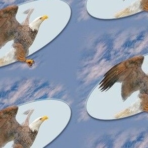 5x4-Inch Repeat of Trompe-l’Oeil Eagle Flying Free