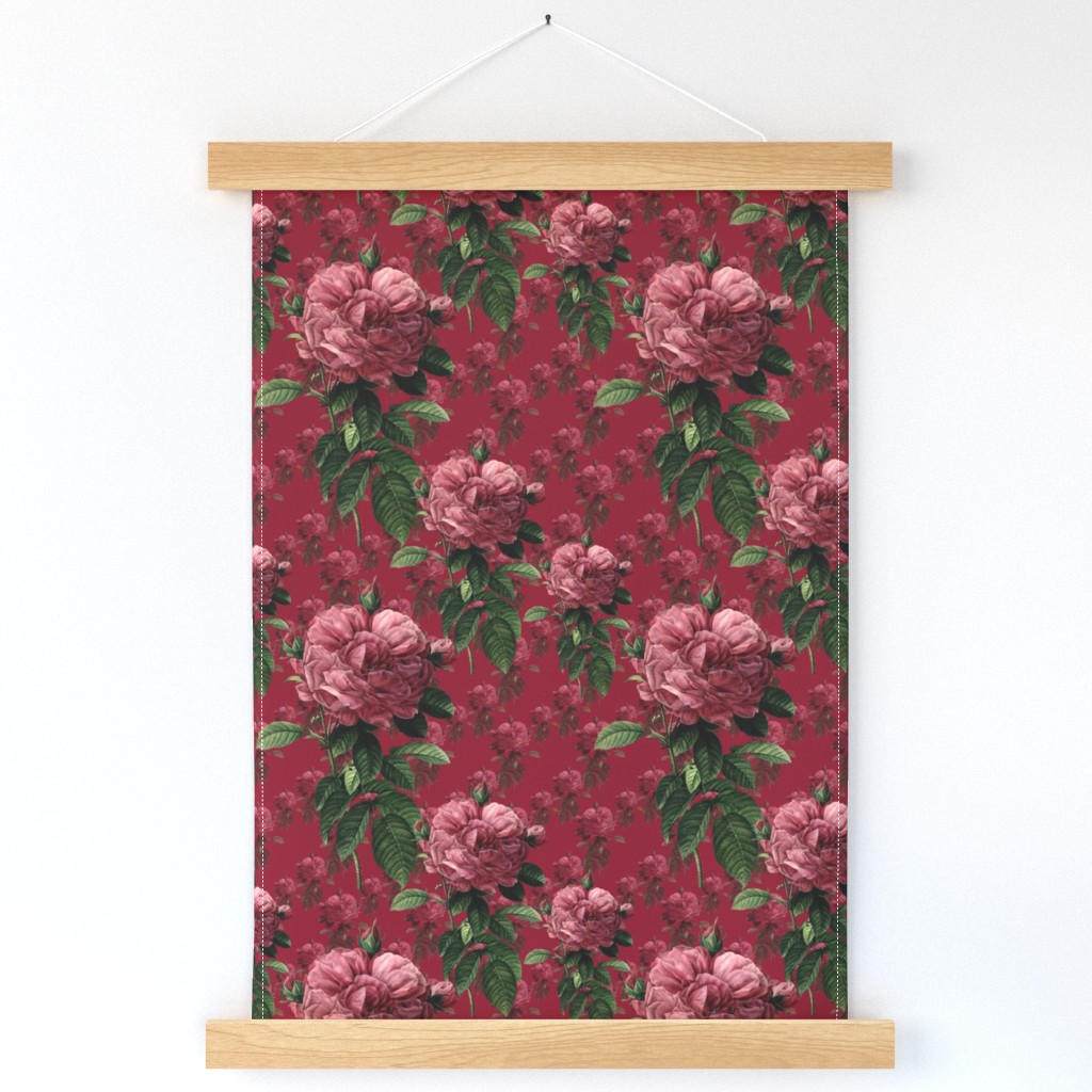 Redoute' Roses ~ Deep Rose ~ Medium