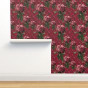 Redoute' Roses ~ Deep Rose ~ Medium