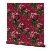 Redoute' Roses ~ Deep Rose ~ Medium