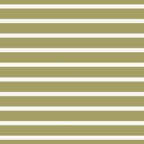 Thick stripes - olive