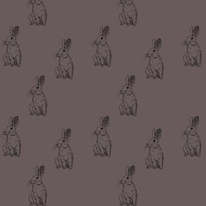 Slate Bunny