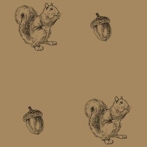 Brown Squirrels and Acorns