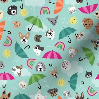 Raining Cats and Dogs - Multi, Medium Scale