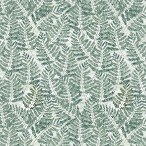 Large Watercolor Fern pattern, Light background