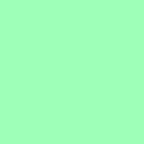 Mint Green Solid