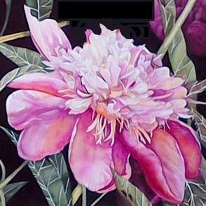 Giant Peony 