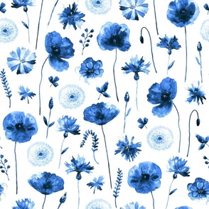 Wild dried flowers blue