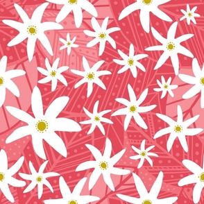 Tiare Flowers - watermelon pink background - white flowers, hawaii, polynesia, boho floral