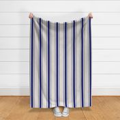 Midi Blue Antique Vintage Mattress Ticking Stripe on Cream