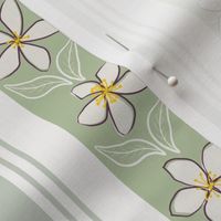 Araminta's Jasmine Flower Green Regency  Stripes