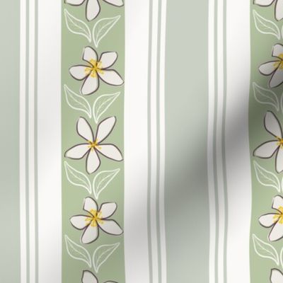 Araminta's Jasmine Flower Green Regency  Stripes