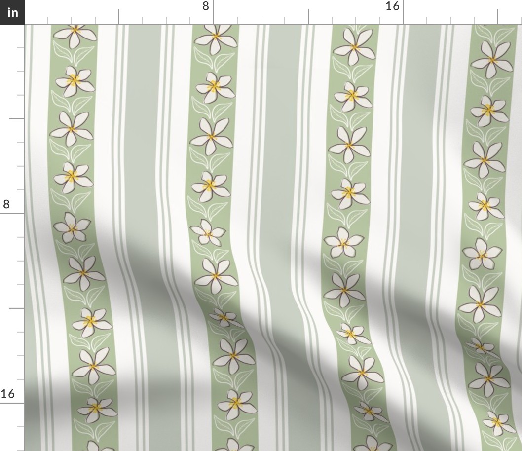 Araminta's Jasmine Flower Green Regency  Stripes