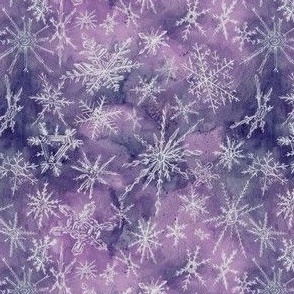 Snow Crystals On Lilacs