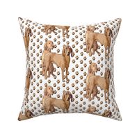 Redbone Coonhound With Pawprints fabric