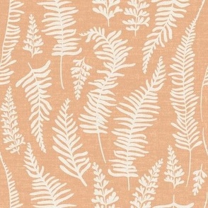 Ferns Peach_Iveta Abolina