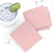 Rose Quartz Pantone 13-1520