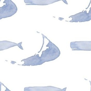 Nantucket Island and Whale