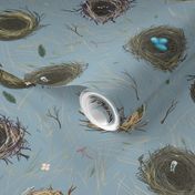 Scattered  Bird Nests, Grey Blue by Brittanylane