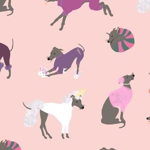 Pretty Pups Dressed Up Greyhounds on Blush