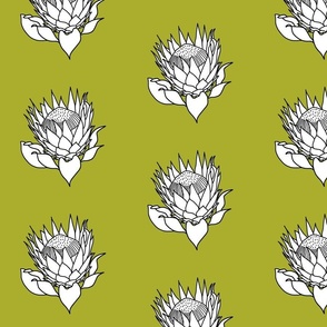 White Stencil Protea - olive green, medium 