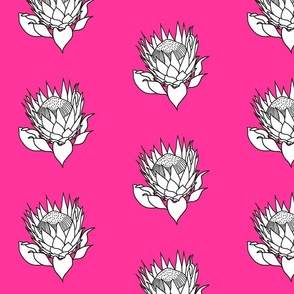 White Stencil Protea - hot pink magenta, medium 