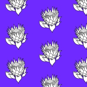 White Stencil Protea - indigo purple, medium 