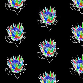 Rainbow Protea (stained glass window) #2 - white lines on black, medium 