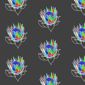 Rainbow Protea (stained glass window) #2 - white lines on charcoal grey, medium 