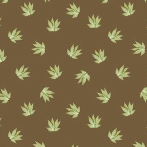Agave Small Plants- small pretty green agaves on light brown background.