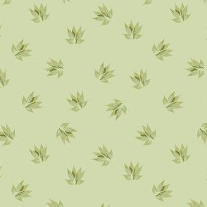 Agave Small Plants - small pretty green agaves on pastel green background.