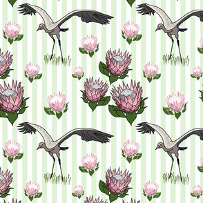 Feathered Friends (proteas & giant cranes) - peppermint green stripe, medium