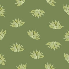 Agave Plants-light green agaves on a pretty green background.