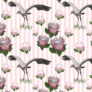 Feathered Friends (proteas & giant cranes) - baby pink stripe, medium