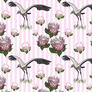 Feathered Friends (proteas & giant cranes) - cotton candy stripe, medium