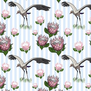Feathered Friends (proteas & giant cranes) - baby blue, medium