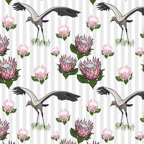 Feathered Friends (proteas & giant cranes) - silver stripe, medium