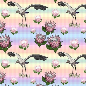 Feathered Friends (proteas & giant cranes) - rainbow gingham, medium