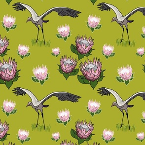 Feathered Friends (proteas & giant cranes) - asparagus green, medium