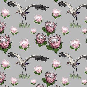 Feathered Friends (proteas & giant cranes) - silver grey, medium