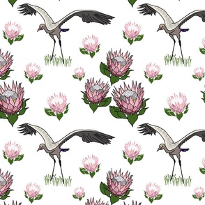 Feathered Friends (proteas & giant cranes) - white, medium