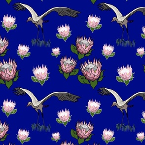 Feathered Friends (proteas & giant cranes) - sapphire blue, medium