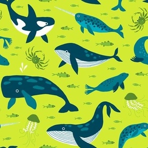 Whales ocean on lime