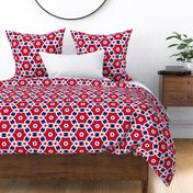 Jubilee Red, White & Blue Stars 10 inch