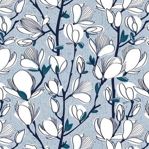 Small scale // From my window // pastel blue background white magnolia spring bloom