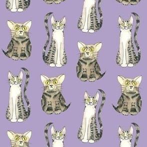funny Cat illustration lavender